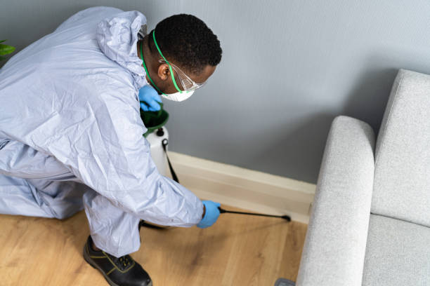 Reliable Compton, CA Pest Control Solutions